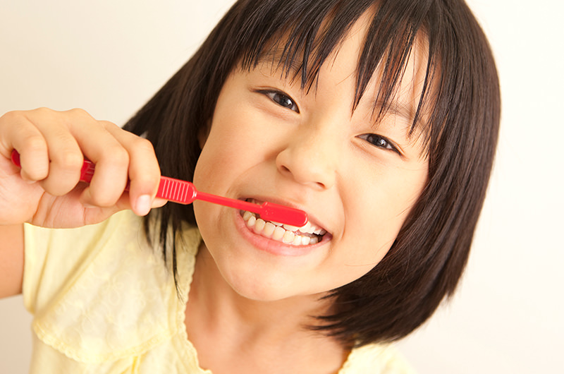 虫歯になりやすく、進行しやすい乳歯・生え始めの永久歯